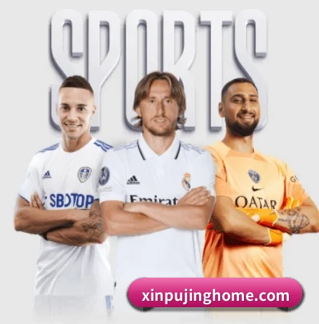 澳门新葡京 APP 界面