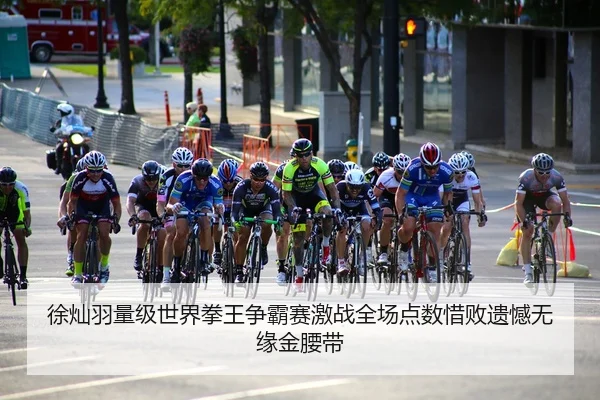 徐灿羽量级世界拳王争霸赛激战全场点数惜败遗憾无缘金腰带
